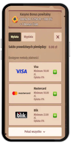 Użytkownik dokonuje wpłaty